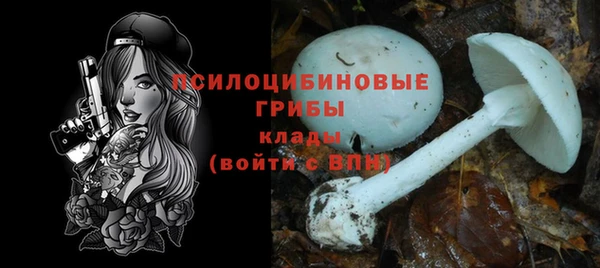 не бодяженный Алексин