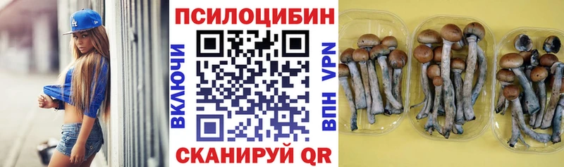 Псилоцибиновые грибы мухоморы  Алдан 